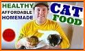 Cat food recipes – Homemade cat food related image