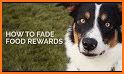 Retriever Rewards related image