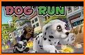 Pet Run - Puppy Dog Game related image