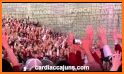 Arkansas Razorbacks Live WPs related image