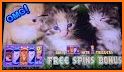 Vegas Kitten Slots (Free) related image