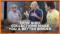 Birda: Birding Made Better related image