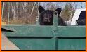 Ingenious Bear Escape related image