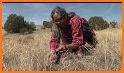 New Mexico Wildflowers related image