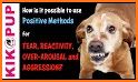 GoodPaws – Force Free Dog Training & Wellness! related image