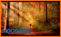 Autumn Photo Frames related image