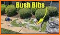 Landscaping - Trim the Bush! related image