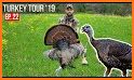 Turkey Hunting Calls - Hunting sounds related image