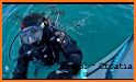 Divebase - Scuba Diving & more related image