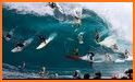 Surfline Surf Cams, Forecasts related image