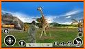 Hunting Games 2018 - Sport Hunting Games In Safari related image