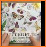 Butterflies Coloring Books related image