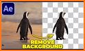 Remove Video Background HD related image