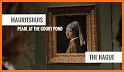 Mauritshuis related image