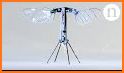 Roboto Fly related image