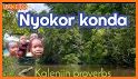 Kalenjin Proverbs related image