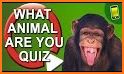 Kids Animal Quiz Pro related image