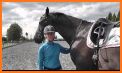 Equisense - Horse riding improvement related image