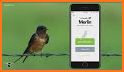 Bird Identifier - Picture Bird related image