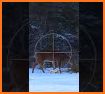 Real Sniper Deer Hunting : FPS Deer Hunter 2019 related image