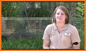 Zoo Animal Keeper related image