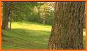Crystal Tree CC related image