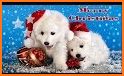 Merry Christmas Greeting Cards related image