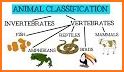 Parts of Animals (Vertebrates) related image