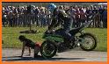 Moto Bike Stoppie Kiss wheelie Stunts related image