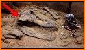 Dinosaur Bones Hunter related image