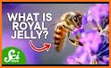 Queen Bee! related image