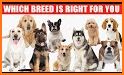 Dog Breeds related image