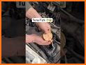 Auto Mechanic Mate: Automobile related image