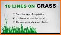 Grass Line related image