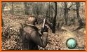 Resident Evil 4 Walkthrough Hint related image