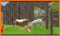 Farm Animals Horse Simulator related image