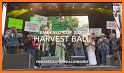 Harvest Ball 2021 related image