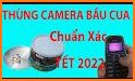 Bau Cua 2022 9D related image