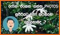 Photo Editor Sinhala related image