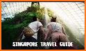 Visit Singapore Travel Guide related image