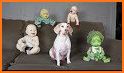 Babies Pups Memo Patrol related image