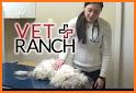 TLC Vet related image