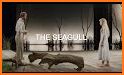 The Seagull related image