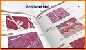 Memorix Histology QUIZ related image