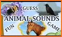 Guess The Animal Quiz Games - Animal Trivia Games related image