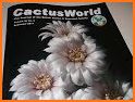 Gardens Illustrated Magazine - Gardening Trends related image