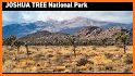 Joshua Tree National Park related image