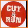 Sword Cut Run related image