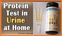 Kidney Check: Home Urine Test related image