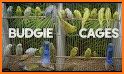 Alen AxP Budgie Community related image